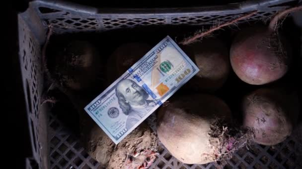 Hundred Dollar Bill Crate Leftover Red Beets Basement Smooth Camera — Video Stock