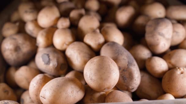 Hand Takes Potato Puts Three Hundred Dollars Return Close Market — Video