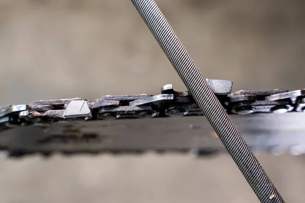 A round file sharpens a saw chain on a chainsaw bar close-up on a blurred background