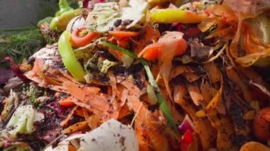 Food waste on a compost heap close-up. Smooth camera movement. Biodegradation of organics to create natural fertilizer to garden soil. Sorted human waste. High quality FullHD footage