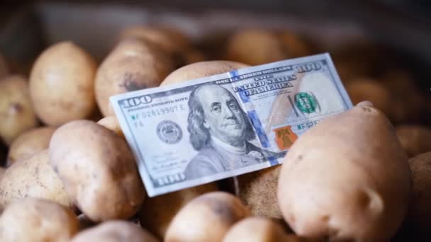 Close Stock White Potatoes Cellar Ransom Price One Hundred Usd — Vídeo de Stock