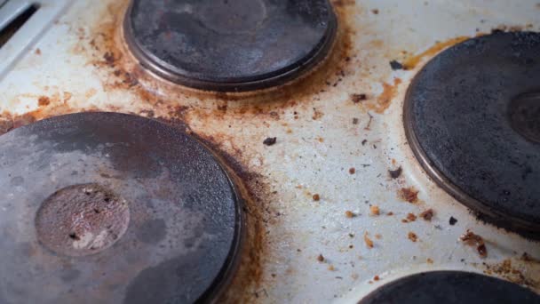 Сильно Загрязненная Электрическая Плита Кухне Опрыскивается Химикатами Попытка Помыть Восстановить — стоковое видео