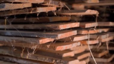 Oak boards after long-term storage in a warehouse close-up. Smooth camera movement. High quality FullHD footage
