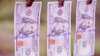 Three hundred dollar bills are pinned up with clothespins close-up against a blurred background. Smooth camera movement and color pinkish toning. High quality FullHD footage