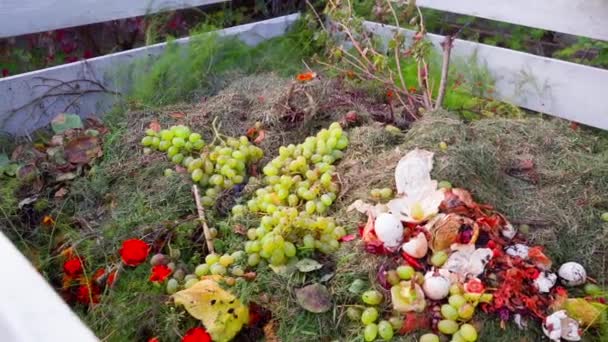 Organic Residues Compost Heap Close Smooth Motion Food Waste Agricultural — Video