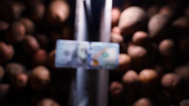Hundred Dollar Bill Wooden Crates Potatoes Emerges Out Blur Money — Vídeo de Stock
