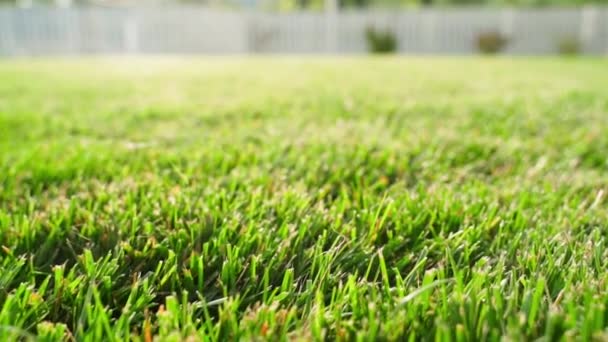Trimmed Smooth Green Lawn Close Camera Slides Smoothly Well Groomed — Stok video
