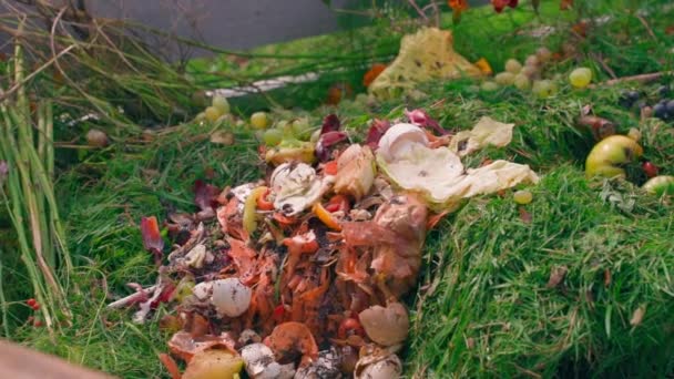 Природные Органические Отходы Куче Крупным Планом Свежескошенная Трава Газона Пищевые — стоковое видео