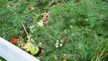 Compost heap close up, top view. Smooth camera movement. High quality FullHD footage