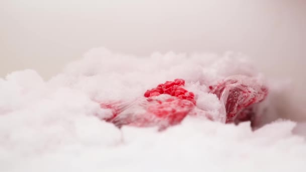 Raspberries Transparent Bag Freezer Snow Close Smooth Camera Movement High — Stok video