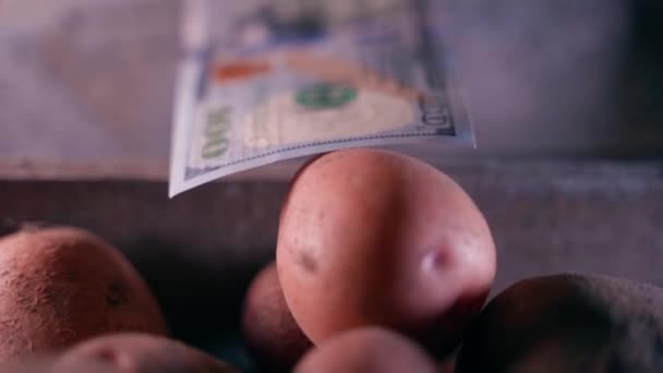 Payment Red Potatoes One Hundred Dollars Hundred Dollar Bill Lies — Stockvideo