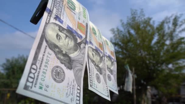 Close Visualization Cash Dollars Laundering Smooth Camera Movement Hundred Dollar — стоковое видео
