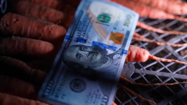 One Hundred Dollars Lie Box Leftover Carrots Close High Quality — Video Stock