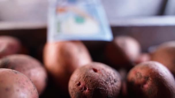 Camera Moves Smoothly Potato Close Hundred Dollar Bill Finance Agriculture — Vídeo de Stock