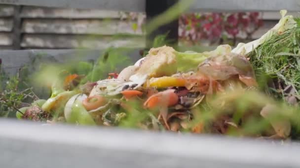 Limbah Makanan Pada Tumpukan Kompos Musim Panas Close Pada Latar — Stok Video
