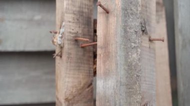 Wooden boards and beams after use at a construction site close-up.Rusty nails hammered into wood. High quality FullHD footage