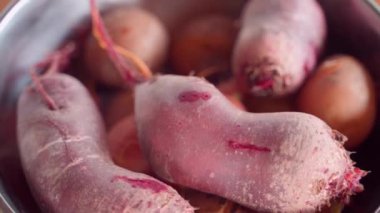 Boiled red beets and other vegetables close-up. High quality FullHD footage