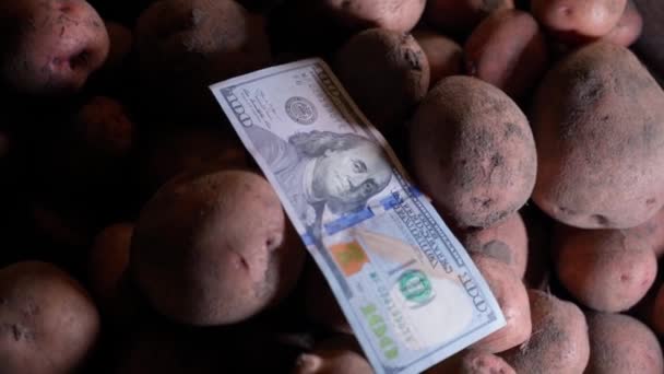 One Hundred Dollars Potato Dark Room Top View Smooth Camera — Stockvideo