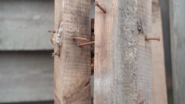 Wooden Boards Beams Use Construction Site Close Rusty Nails Hammered — Vídeo de stock