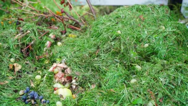 Green Cut Grass Food Waste Compost Heap Smooth Camera Movement — Vídeo de Stock