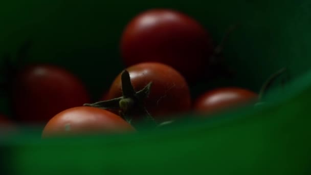 Close Tomatoes Green Plastic Container Parallax High Quality Fullhd Footage — Vídeo de Stock