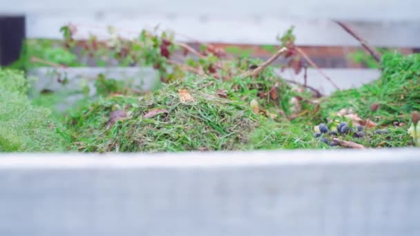 Smooth Sliding Camera Compost Heap Street Idea Recycling Organic Waste — Stockvideo