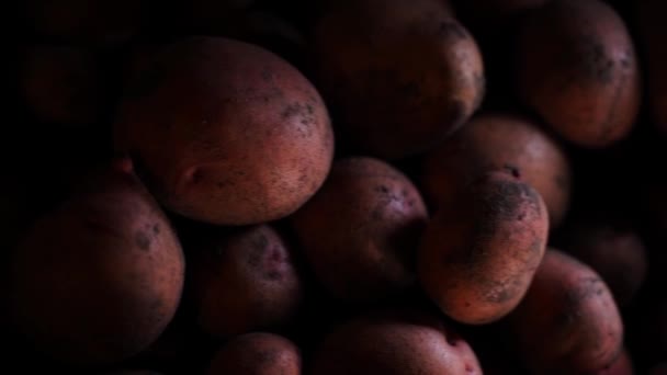 One Hundred Dollars Crates Potatoes Basement Lots Red Potatoes Cash — Vídeo de Stock