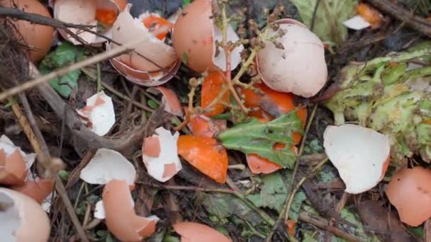家禽养殖废弃物堆肥特写 堆上可生物降解的有机废物 优质Fullhd影片 — 图库视频影像