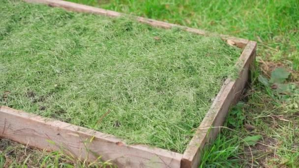 Een Tuinbed Bedekt Met Vers Gemaaid Groen Gras Van Het — Stockvideo