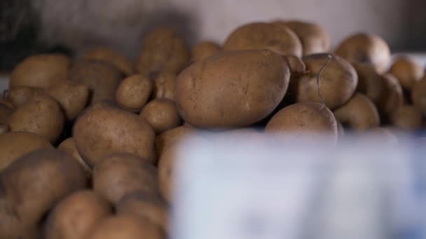 Refocus Mountain White Potatoes Hundred Dollar Bill Foreground Cash Payment — Vídeos de Stock