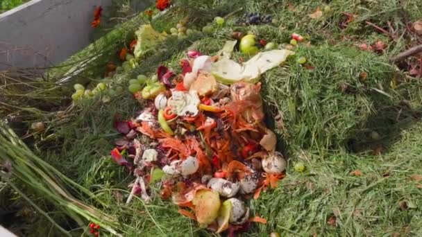 Sorted Food Waste Compost Heap Sunny Summer Weather Top View — 비디오