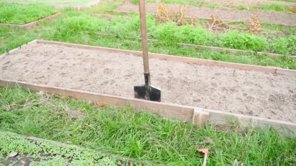 Garden Bed Cleared Plants Bayonet Shovel Soil Garden Prepared Planting — Vídeo de Stock