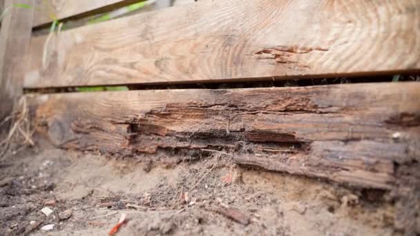 Versleten Planken Van Een Composthoop Gebroken Plank Grond Van Dichtbij — Stockvideo