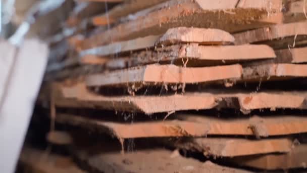 Abandoned Warehouse Oak Planks Smooth Camera Movement High Quality Fullhd — Vídeo de Stock