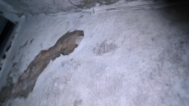 Stigande Från Underjordisk Bunker Mörkret Spruckna Källarväggar Kamera Med Ficklampa — Stockvideo