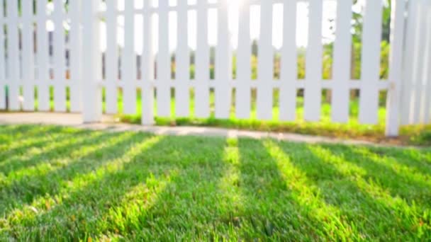 Camera Pans White Wooden Fence Lush Green Mowed Lawn Sunny — Stok video