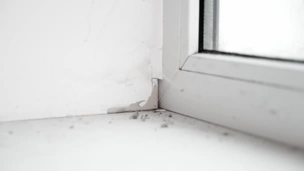 Chipped Corner Putty Window Slope Freezing Moisture Poor Quality Installation — Stock Video