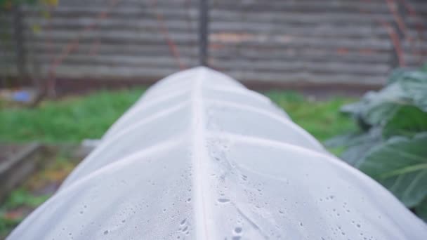 Homemade Greenhouse Made Pvc Pipes Polyvinyl Chloride Film Moisture Condenses — Vídeos de Stock