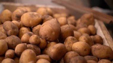 Warehouse of white potatoes. Smooth camera movement around a pile of potatoes close-up. High quality FullHD footage