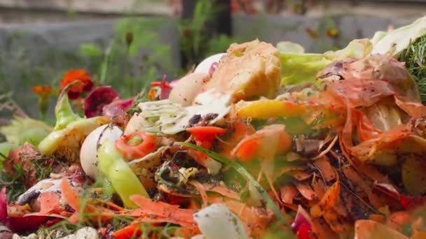 Food Waste Compost Heap Close Creation Biohumus Home Organic Waste — 비디오
