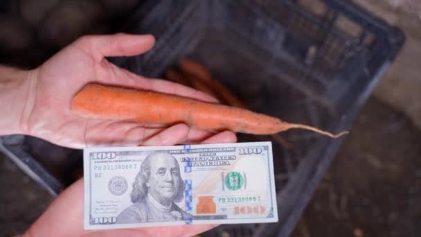 ニンジンと100ドル札の比較 野菜やニンジンの価格上昇 農業市場での取引 高品質4K映像 — ストック動画