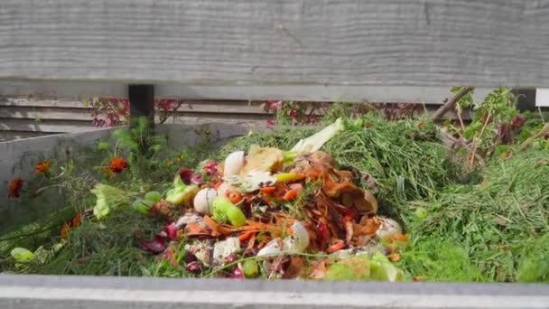 Ordures Organiques Triées Sur Tas Compost Extérieur Gros Plan Des — Video