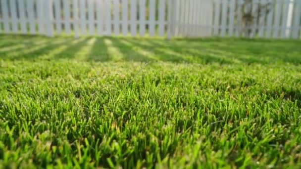 Shadows White Fence Mowed Green Lawn Sunny Summer Day City — Vídeo de Stock