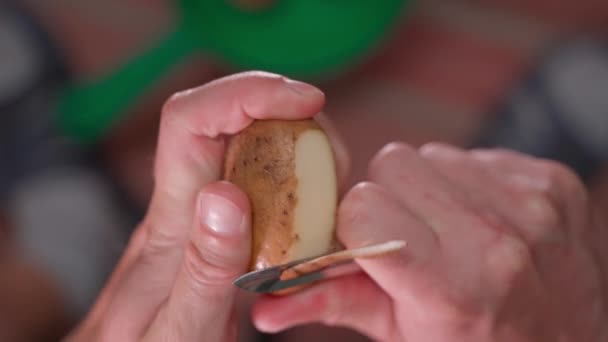 剥皮白色土豆特写 顶部视图 用特殊的小刀切碎土豆皮 高质量的4K镜头 — 图库视频影像
