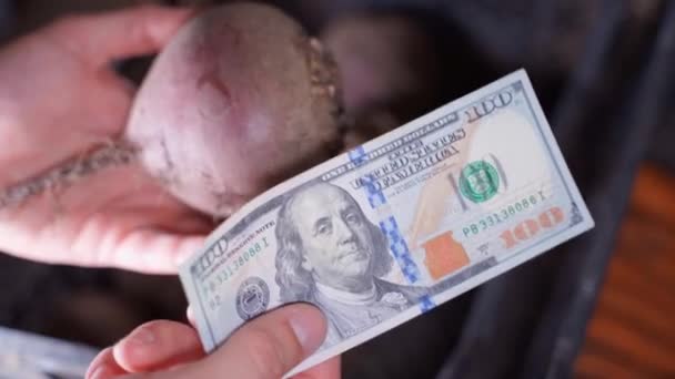Hands Offering One Hundred Dollars One Red Beet Close Rising — Vídeo de Stock