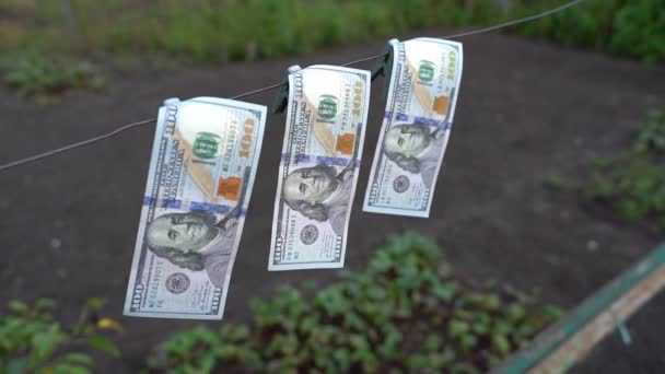 Money Laundering Wire Drying Close Parallax High Quality Fullhd Footage — Stockvideo
