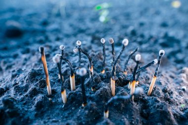 Soğuk mevsimde ısınma ve yakacak odun çıkarma sorunu. Çevresel sorunları ve orman yangınlarını çözmek. Sınırlı kereste kaynakları tükeniyor. Kibritlerin kondomsuz tüketimi