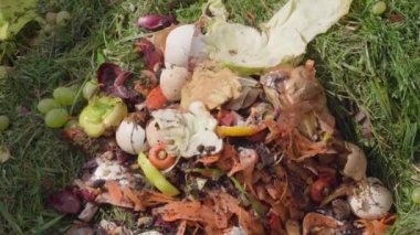 Leftover food on a compost heap close-up, top view. High quality FullHD footage