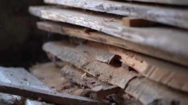 Wood materials in an abandoned warehouse close-up. Wooden planks affected by pests. High quality FullHD footage