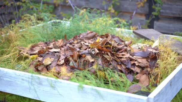 Dry Fallen Leaves Compost Heap Close Smooth Camera Zoom High — Stockvideo